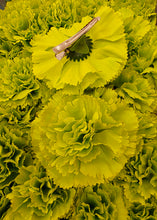 Cargar imagen en el visor de la galería, Flor flamenca pinza varioa colores