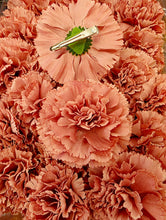 Cargar imagen en el visor de la galería, Flor flamenca pinza varioa colores