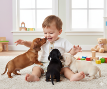 Cargar imagen en el visor de la galería, Conjunto pololo "Indore" 3 a 24 meses | Calamaro